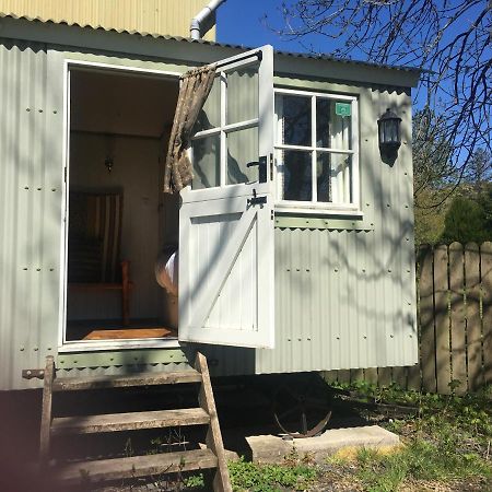 Posh Huts Farmstay Falstone Exterior photo